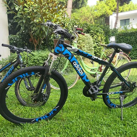 Вилла Peonia Valamar