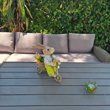 فيلة Peonia Valamar دراس